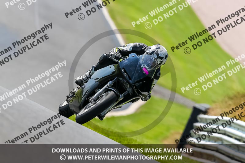 PJ Motorsport Photography 2020;anglesey;brands hatch;cadwell park;croft;donington park;enduro digital images;event digital images;eventdigitalimages;mallory;no limits;oulton park;peter wileman photography;racing digital images;silverstone;snetterton;trackday digital images;trackday photos;vmcc banbury run;welsh 2 day enduro